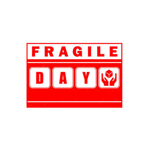 FRAGILE DAY (recovery)